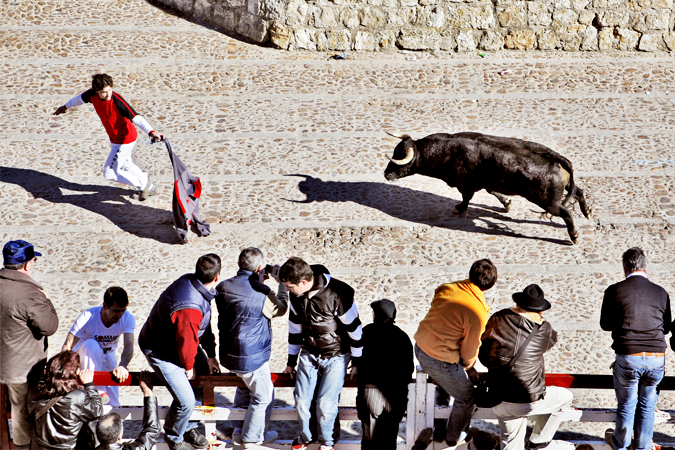 Carnaval del toro