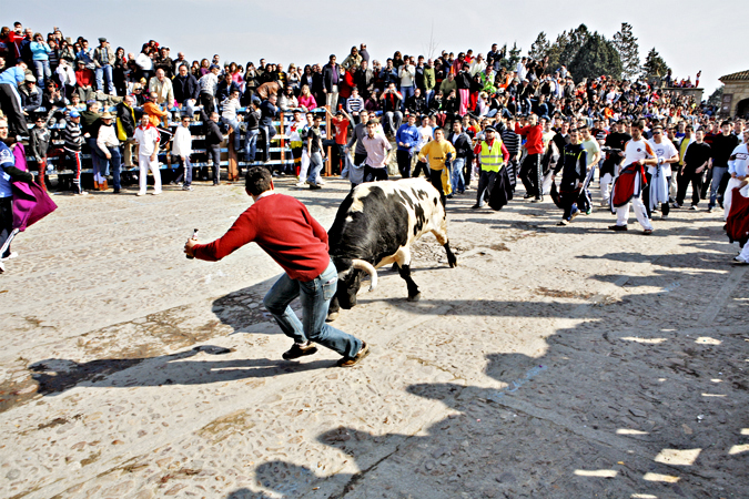 Carnaval del toro
