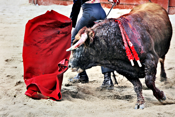 Carnaval del toro